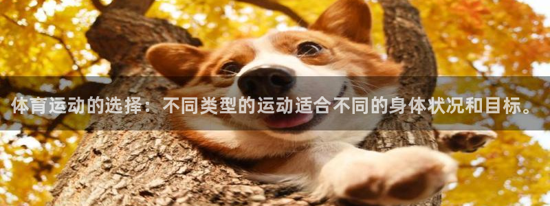 vsport体育官方正版app官方