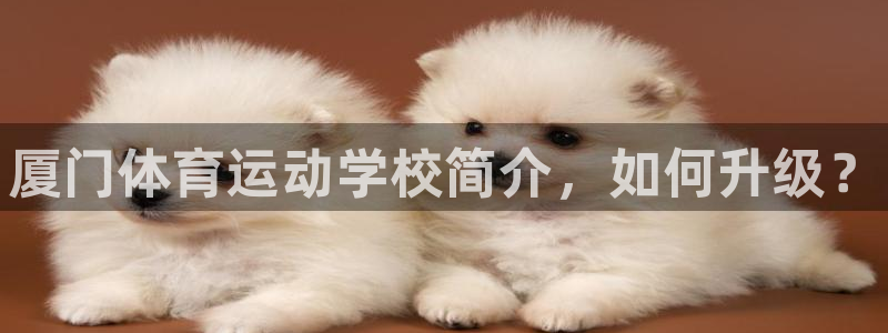 vsport体育官网下载招商电话号码
