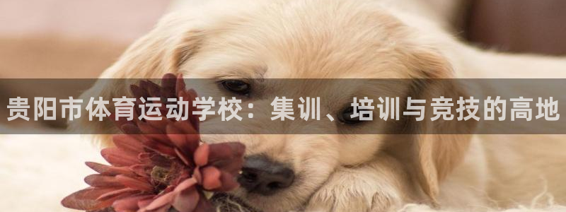 vsport体育官网下载招商电话号码查询：贵阳市体育运动学校
