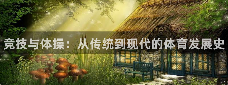 德国vsport体育官方正版app集团：竞技与体操：