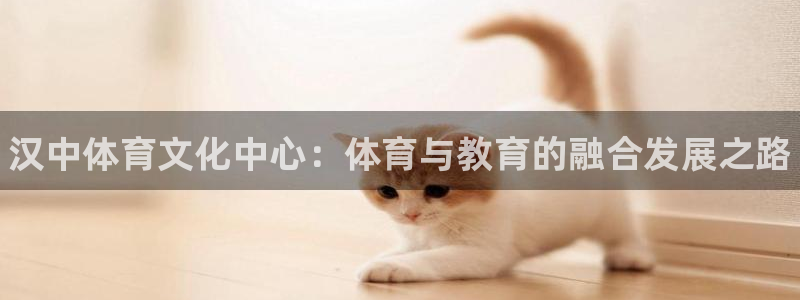 vsport体育官网下载开户：汉中体育文化中心：体育
