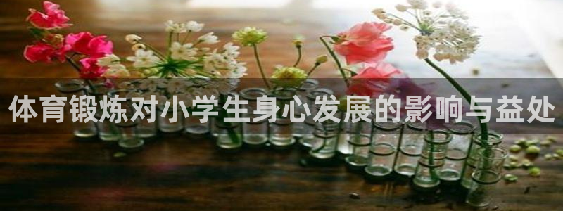 vsport体育官网下载招商电话号码：体育锻炼对小学
