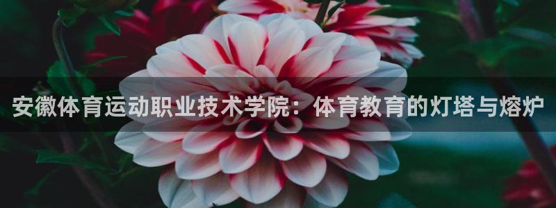 vsport体育官方正版app集团官网首页：安徽体育