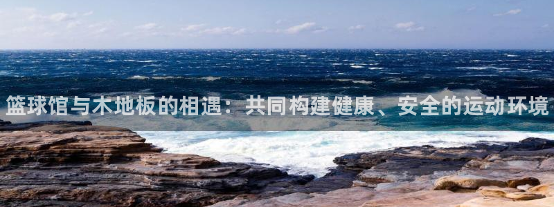 vsport体育官方正版app娱乐代理怎么样：篮球馆