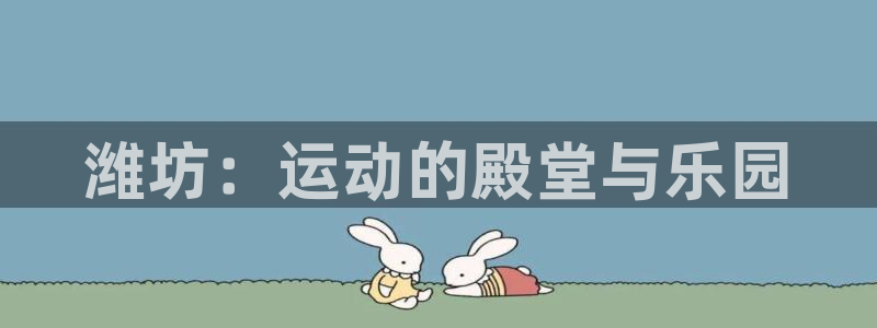 vsport体育官方正版app五金厂：潍坊：运动的殿