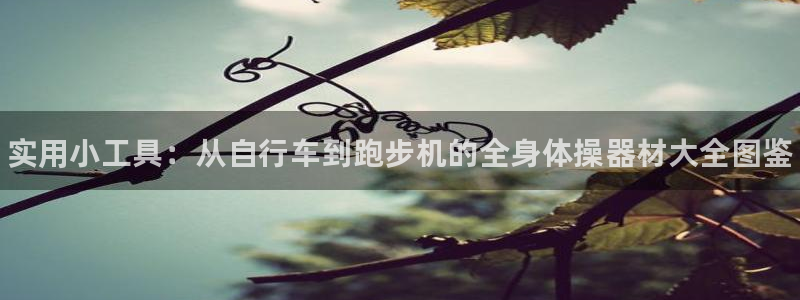 vsport体育官方正版app集团官网首页：实用小工
