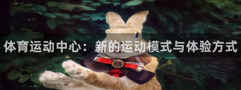 vsport体育官方正版app集团官网首页网址：体育