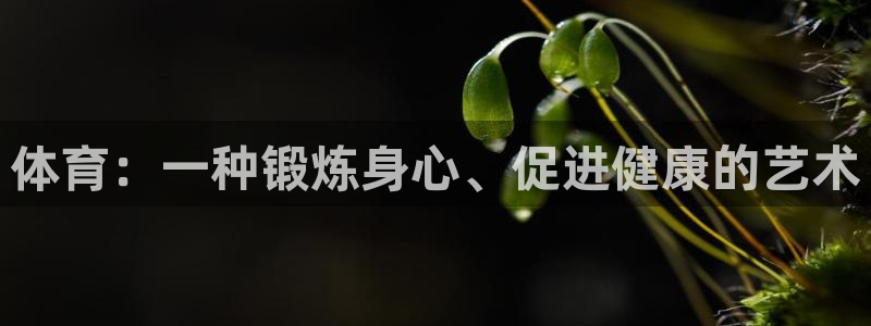 vsport体育平台app下载安装免