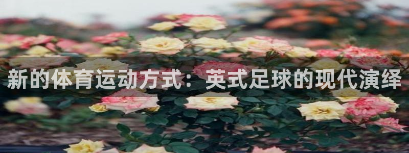 vsport体育在线官网：新的体育运