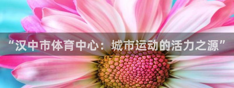 VSport体育官网入口：“汉中市体