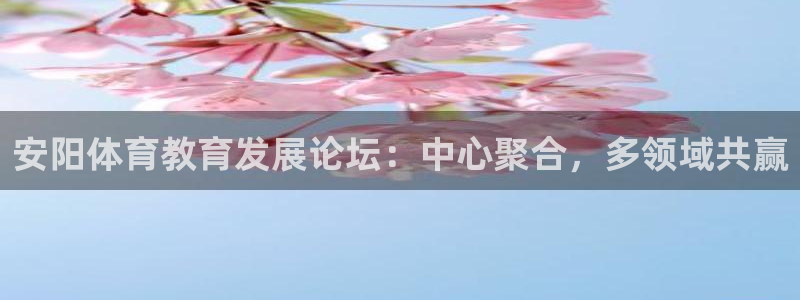 vsport体育在线官网阿根廷：安阳