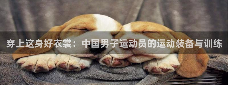 vsport体育在线官网：穿上这身好