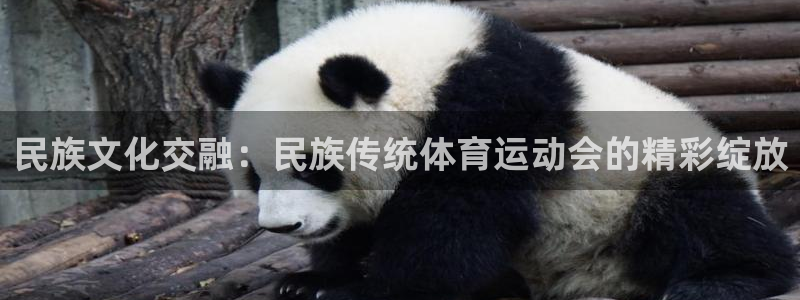 vsport体育在线官网阿根廷：民族